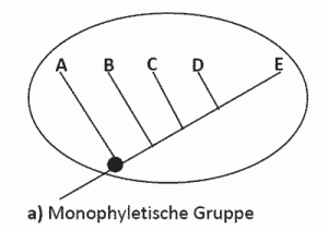 monophyletischegruppeweb