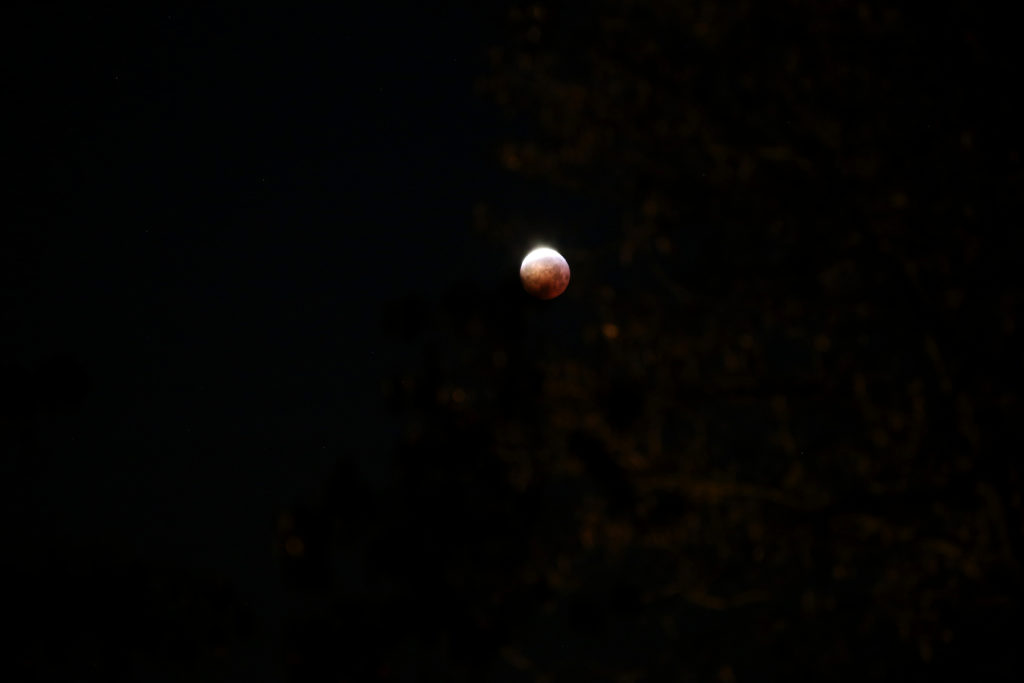 Die Mondfinsternis am Morgen des 21.1.2019, nach Ende der Totalitätsphase, Canon EOS6D mit Leica Elmarit-R 180 mm