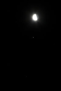 Der Halbmond, Jupiter (mit Io, Europa und Callisto) und Spica am Morgen des 19.1.2017, 6:46 MEZ. Canon EOS6D mit Leitz Elmarit-R 180mm, HDR-Aufnahme