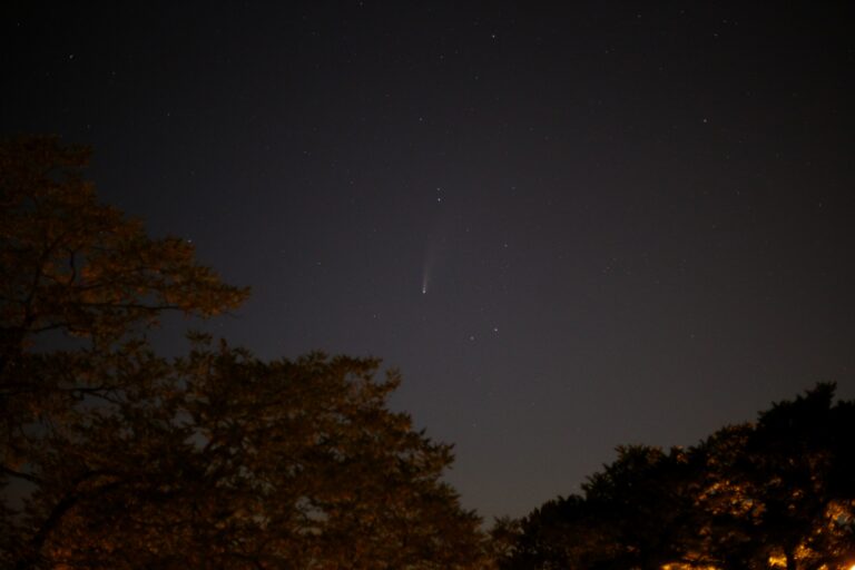 Komet C/2020 F3 (NEOWISE) am Abend des 19 Juli 2020 um ca. 22:20 MESZ über Darmstadt. Canon EOS6D mit Leitz Summicron-R 50mm, ISO 3200, f/2.0, 0.8s