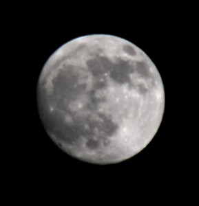 Mond über Darmstadt am 13.4.2014 um 21:40 MESZ, Canon 600D mit Canon 85-250 mm Telezoom, 250 mm Brennweite, ISO 100, f 5.6, 1/500 s