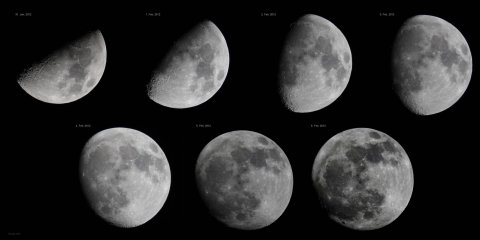 Waxing moon in second quarter from 31.1.2012 to 6.2.2012, source: Michael Khan