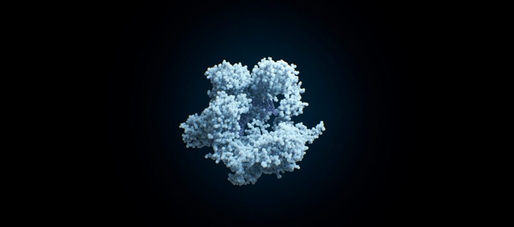 Die Endonuclease Cas, ein Enzym, dass zielgenau DNA schneiden kann