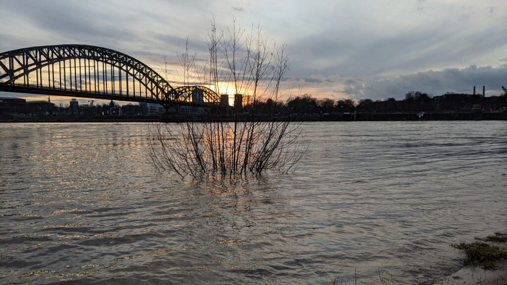 Rhein mit Hochwasser.