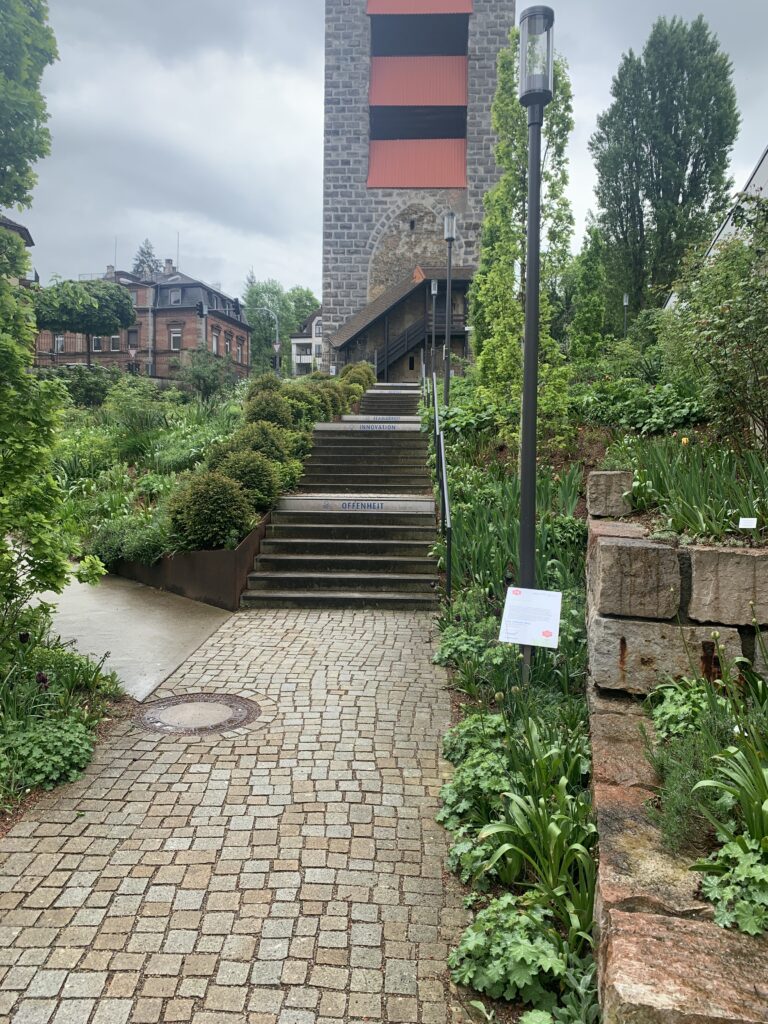 Auf einer ehemalig versiegelten Brachfläche gestaltete die Stadt Schwäbisch Gmünd einen Schwammplatz mit viel Bepflanzung und auch wasserdurchlässigem Belag