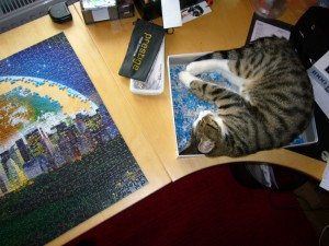 Katze und Puzzle