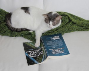 Katze mit Quantenmechanik-Buch