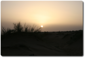 Sonne beim Aufgang am Grashalm (Sahara, 2008)
