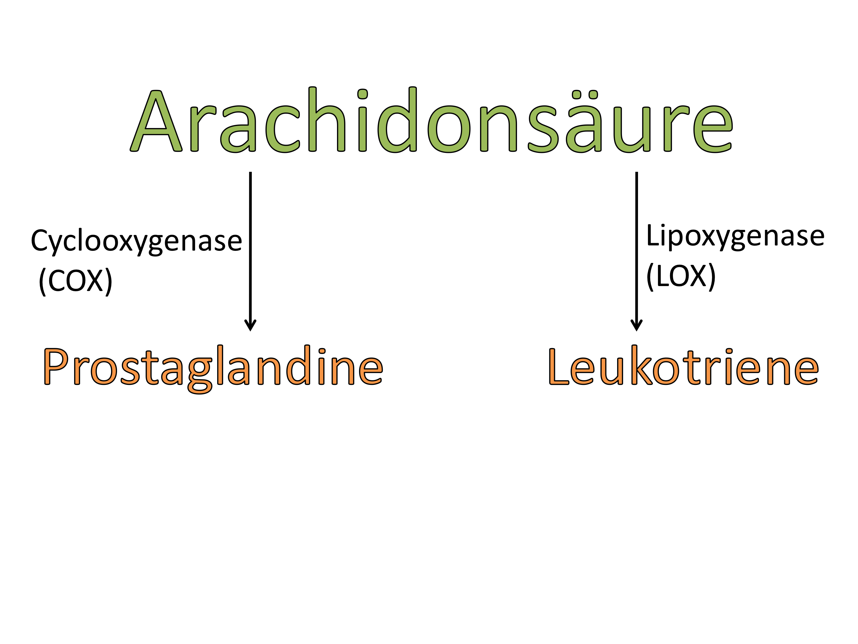 Aus Arachidonsäure können sowohl Prostglandine als auch Leukotriene gebildet werden.